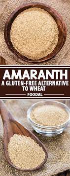 Pin On Amaranth Quinoa Recipes