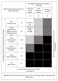 Prescribing In Renal Impairment Medicines Guidance Bnf