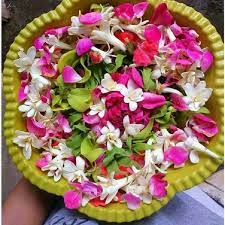 Deretan bunga terindah di dunia ini terlihat sangat cantik dan enak untuk dilihat, juga dipercaya mampu membawa ketenangan di hati kita. Bath Flower 7 Types Shopee Singapore