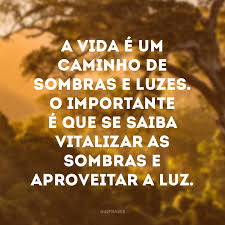 41 Frases Sobre Caminho Para Refletir Sobre As Varias Trilhas Existentes