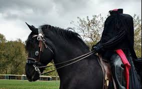The hardest part about he costume was the black pillow case. Headless Horsemen Surprises Everyone Best Halloween Costume Ever The Horseaholic