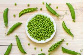 Use our sample 'foods cats can eat.' read it or download it for free. Can Dogs Eat Peas Petguide