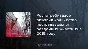 Rospotrebnadzor Obyavil Kolichestvo Postradavshih Ot Bezdomnyh Zhivotnyh V 2019 Godu Politshturm