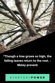 Quotes, wise words, and inspiration about nature, living. 50 Tree Quotes To Make You Want To Plant Roots 2021