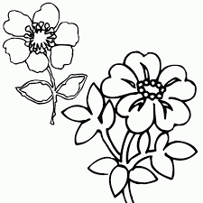 Find & download free graphic resources for wildflower. Printable Wildflower Coloring Pages New Coloring Pages Flower Coloring Pages Big Flowers Coloring Pages