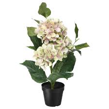 Fejka Plante Artificielle En Pot Interieur Exterieur Hydrangea Vert Ikea En 2020 Hortensia Vert Plantes Artificielles Plante Salle De Bain