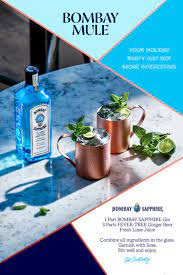Bombay Mule Fancy Drinks Smoothie Drinks Liquor Drinks
