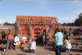 Flower Mound Pumpkin Patch October 1 31 Pumpkin House Flower Mound Pumpkin Patch Picnic Foods