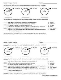 Cellular Transport Worksheet Cellular Worksheets Independent Practice