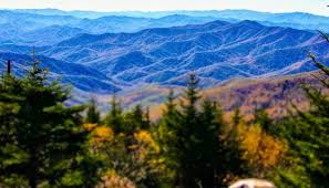 Search our smoky mountain secluded cabin rentals and find gatlinburg cabin specials and pigeon forge cabin specials. 6 Cabins To Book This Fall With Great Views In The Smoky Mountains Smokymountains Com