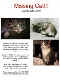 Cat Returns Home After Her Human Posts Missing Signs Calling Her A Jerk Cats Cat Call Funny Cats