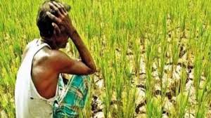 PM Kisan Yojana: नहीं आएगा पैसा! यूपी के इन 5 जिलों के किसानों के अटक सकते हैं 2000 रुपये, जानिए वजह