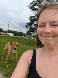 Poodle Attacks Kitten, Owner Responsibility and Animal Safety