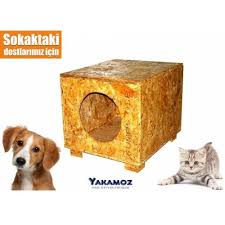 Kedi Evi Dis Mekan Gittigidiyor