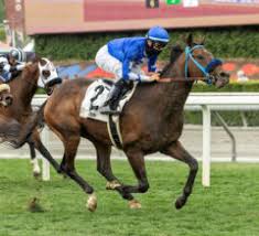 Racing expert monique vag gives free horse racing picks and betting tips on saturday, may 16 for churchill downs and santa anita park racing odds. Free Santa Anita Picks Archives Thoroughbred Racing Dudes