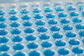 What is rtpcr whats mean of rtpcr test rtpcr test near me center full form of rtpcr. What Are The Differences Between Pcr Rt Pcr Qpcr And Rt Qpcr Enzo Life Sciences