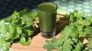 Bila terbau daun ni terus. Rutin Minum Jus Daun Seledri Tiap Pagi Ternyata Bisa Atasi Masalah Penyakit Kurangi Risiko Kanker Sriwijaya Post