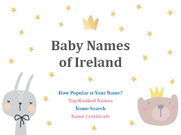 Liam was the most frequently given baby name in new jersey for a fifth straight year in 2019, according to federal social security data. Baby Names Of Ireland Cso Central Statistics Office