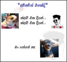 Maybe you would like to learn more about one of these? Joke Post Sinhala 2021