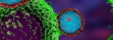 In fact, most people don't even know what it does. Immunotherapy Combination Extends Mesothelioma Survival