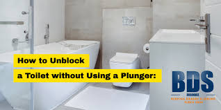 Pour one cup of baking soda into the bowl. How To Unblock A Toilet Without Plunger Bds Drainage