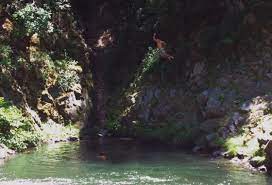 It's no wonder this gem in the santa cruz mountains is called garden of eden. Garden Of Eden Santa Cruz