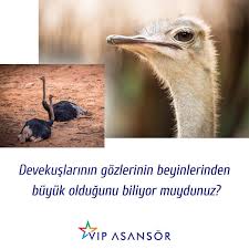 Pin On Bilgi