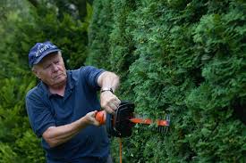 Wann hecke schneiden, wem gehört laub aus nachbars garten oder der überhängende ast: Hecke Schneiden Anleitungen Illustrationen Und Video