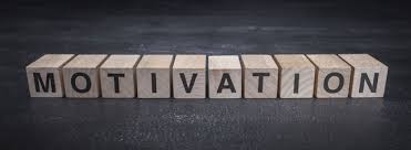 Je reste à votre disposition pour. Ecoles De Commerce Que Mettre Dans Son Cv Et Sa Lettre De Motivation