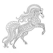1493 x 742 jpg pixel. Leuk Voor Kids Steigerend Paard Dieren Kleurplaten Kleurboek Paarden