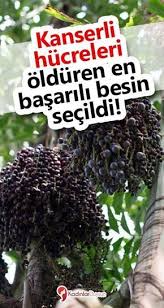 Pin By Dilek Caliskan On Dogal Saglik In 2020 How To Dry Basil Health Tips Herbalism
