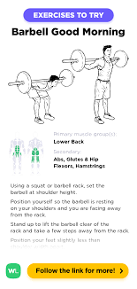 You can perform them after you do. Barbell Good Morning Workoutlabs Exercise Guide