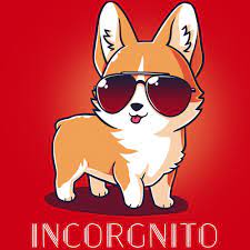 Incorgnito | Funny, cute & nerdy t-shirts
