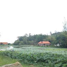 See traveler reviews, candid photos, and great deals for benum hill resort at tripadvisor. Photos At Kem Plkn Benum Hills Resort Raub Pahang
