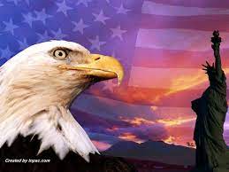 Pin On Bald Eagle