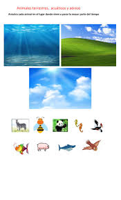 Emparejando animales con tarjetas montessori. Ejercicio Interactivo De Animales Para Preescolar