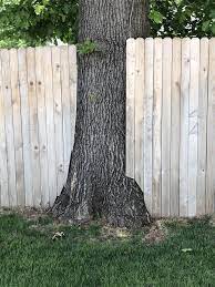 Build a wrought iron ring either around the back or depending on how big the tree is or around the whole thing. The Way This Fence Is Built Around The Tree Dream Backyard Backyard Fun Waterwise Landscaping