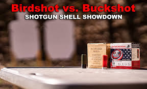 The differences between buckshot, birdshot, and slugs. Birdshot Vs Buckshot Best Home Defense Option