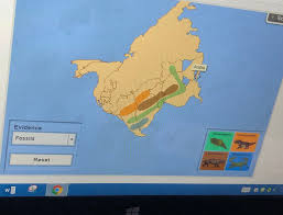 The baird mountains in alaska's kobuk valley national park formed when two tectonic plates along a convergent boundary collided, causing solid rock to buckle and fold. Shobica Wadhwa On Twitter It Was A Fun Challenge For Students To Build The Super Continent Pangaea On Explorelearning Today Platetectonics Continents As Puzzles Https T Co 1pvw6vgvzk