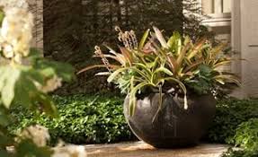 How to design a garden with pots. Container Gardening Garden Design
