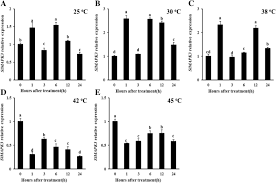 We did not find results for: Knockout Of Slmapk3 Enhances Tolerance To Heat Stress Involving Ros Homeostasis In Tomato Plants Bmc Plant Biology Full Text