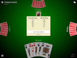 Don't jeopardize your friendships at the kitchen table! Trickster Euchre More Games