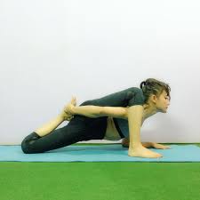 Lizard Pose Variation Yoga Asana Yoga Asanas Yoga Lizard Pose