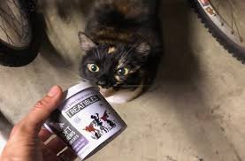 The cbd oil reacts with it and kicks it into high gear. Cbd Oils For Cats In Old Age All In A Days Workall In A Days Work