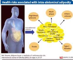 Metabolic Syndrome Archives Page 2 Of 2 Medical Articles By Dr Ray