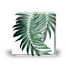 We did not find results for: Palm Leaves Tropical Green Vibes 4 Tropical Decor Art Undefined By Anitabellaart From 19 00 Mipic Green Vibes Palm Leaves Art