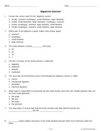 The worksheets are offered in developmentally. Digestive System Continuing Education Free Printable Tests And Worksheets Helpteaching Com