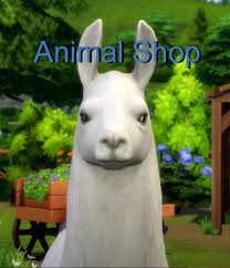 Pets has cheat codes that unlock secret collars, fur colors, and more bonuses for your virtual furry friends. Mod The Sims Animal Shop