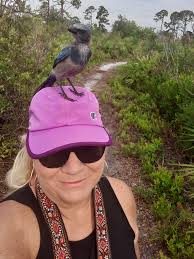 Secret location of tame scrub jays in Melbourne