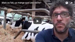 Vidéos en élevage agricole